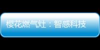 樱花燃气灶	：智感科技 创安全厨房环境