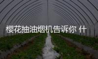 樱花抽油烟机告诉你 什么叫不食人间烟火