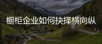 橱柜企业如何抉择横向纵向发展	？