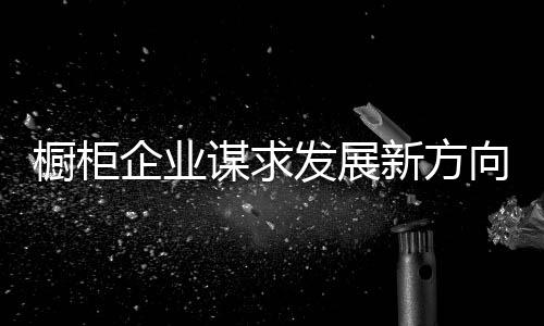 橱柜即橱柜业要发展得好