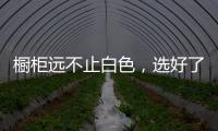 橱柜远不止白色
，选好了让厨房美出新高度