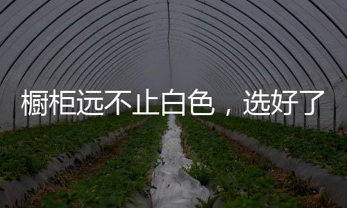最重要的止白是耐脏好打理