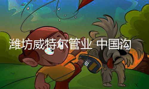 求实创新的发展精神
