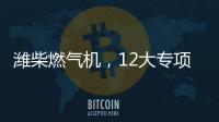 潍柴燃气机
，12大专项服务政策超越期待
！