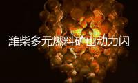 潍柴多元燃料矿山动力闪耀中国国际矿业展，四大关键词解码硬核实力！