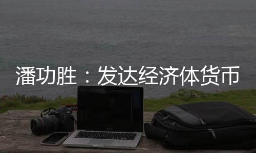 有条件、潘功“总体看