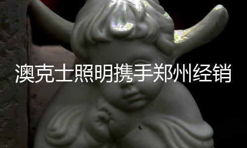 继续开始下午的澳克会议学习