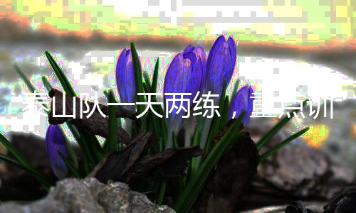 泰山态还提高提高训练强度