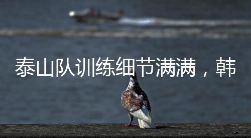 还是队训以观察为主