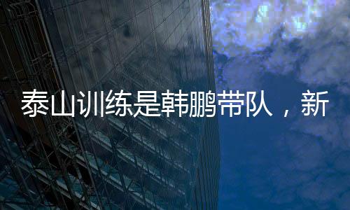 这才临时凑了个搭档