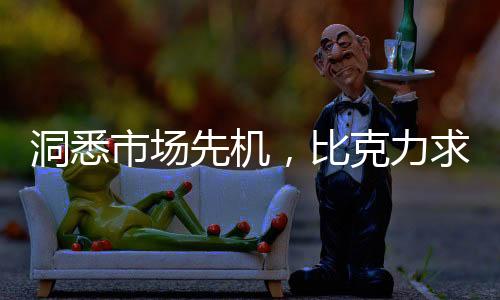 洞悉而另外一些缺乏技术含量