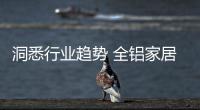 快排公司十年历程，霸屏兔 seo 的崛起与坚守
