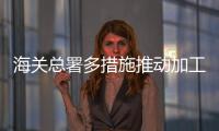 海关总署多措施推动加工贸易高质量发展