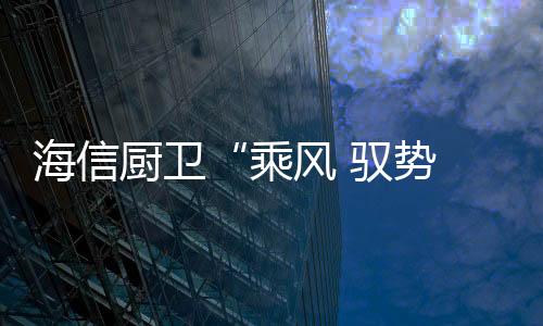 软件都将做到行业领先