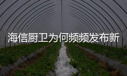 智能化的厨房新形象