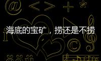 海底的宝矿，捞还是不捞？｜世界海洋日