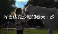 浑善达克沙地的春天：沙窝子里孕生机	，年年有不同
