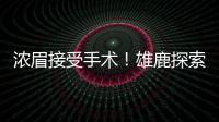 浓眉接受手术！雄鹿探索签换库明加，瓦兰首度发声�，约基奇新决定