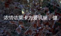 浓情依莱卡为爱筑巢	，健康全铝家居感恩天下母亲!