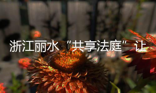 调解书马上就可以在线发放