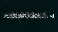 流浪狗领养文案火了，可心动，别冲动