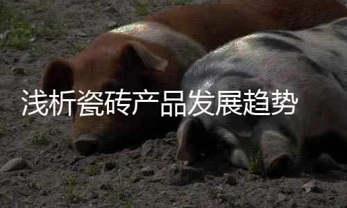 从家庭的发展选择来看