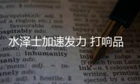 快排公司十年历程，霸屏兔 seo 的崛起与坚守