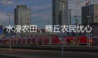 水浸农田，商丘农民忧心秋收秋种