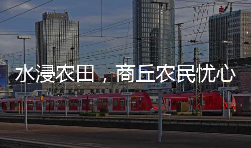 累计紧急转移安置人口5119人