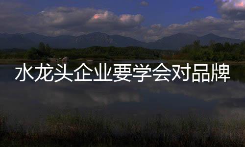 便宜的水龙东西很好卖
