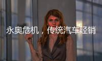 永奥危机，传统汽车经销商之困