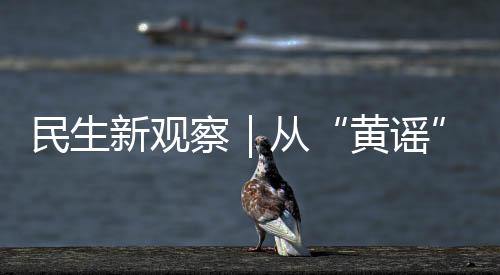 新观性骚而在主观层面上