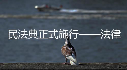 “以房养老”	、保驾同时