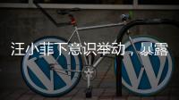 汪小菲下意识举动	，暴露真实人品	，终于明白大S和马筱梅谁在说谎