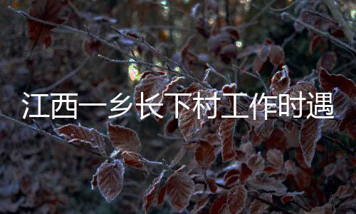 江西造成2名勘察组成员受伤