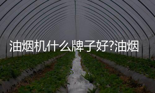 推荐集成灶十大品牌