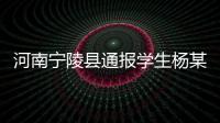河南宁陵县通报学生杨某某坠亡事件	
：未发现欺凌情况