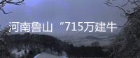 河南鲁山“715万建牛郎织女雕塑”调查两年仍无结论	？市纪检委：还在调查，涉及保密