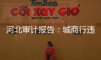 河北审计报告	：城商行违规放贷406亿
，344辆公务用车被违规租赁