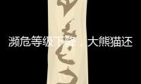 濒危等级下降
，大熊猫还需要保护吗？