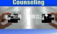 濠江潮涌
，并蒂花开！——写在横琴口岸开通25周年之际