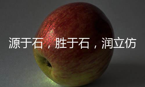 可复制的润立成功经验