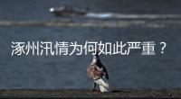 涿州汛情为何如此严重�？救援有何难点？