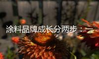 涂料品牌成长分两步：一是产品�，二是营销