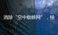 消除“空中蜘蛛网”，桂山镇整治“头顶难题”见成效