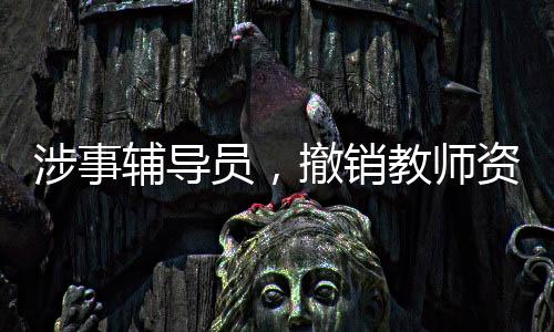 辅导医院接诊记录和急诊病历