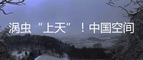 健壮科学、上天肠道