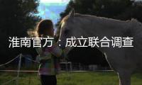 淮南官方：成立联合调查组，全面调查张某被强制送医等问题