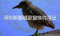 深圳新鹏城夏窗换帅浮出水面 前中超故人接近执教 曾担任山东助教