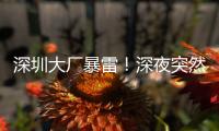 深圳大厂暴雷
！深夜突然宣布停工，员工集体失业
，老板疑似已跑路
